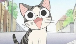 动漫的猫,动漫猫的奇幻冒险之旅